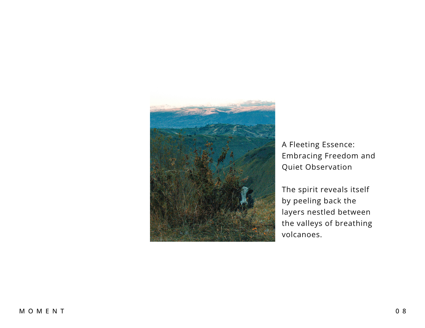 Moments of Ecuador - Digital Download