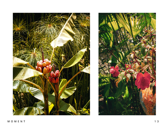 Moments of Ecuador - Digital Download