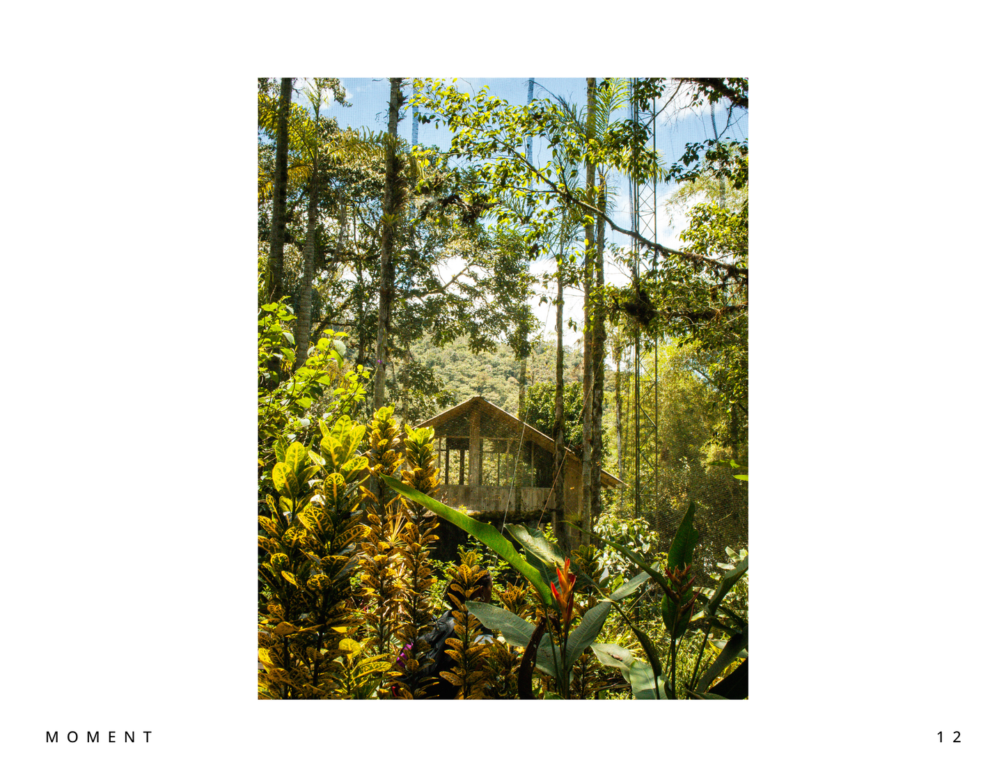 Moments of Ecuador - Digital Download