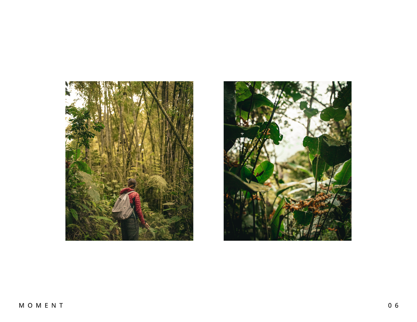 Moments of Ecuador - Digital Download