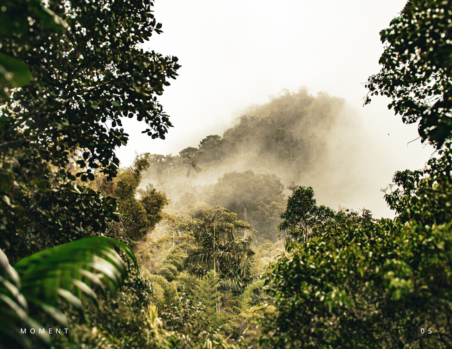 Moments of Ecuador - Digital Download