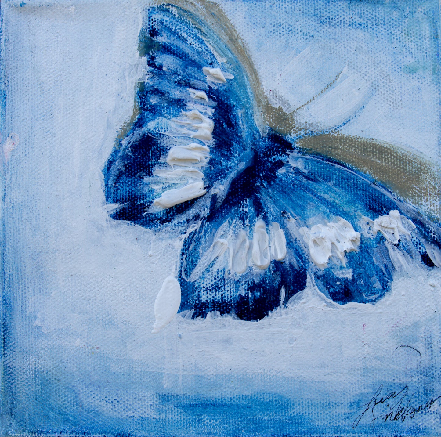 Mariposa Amor
