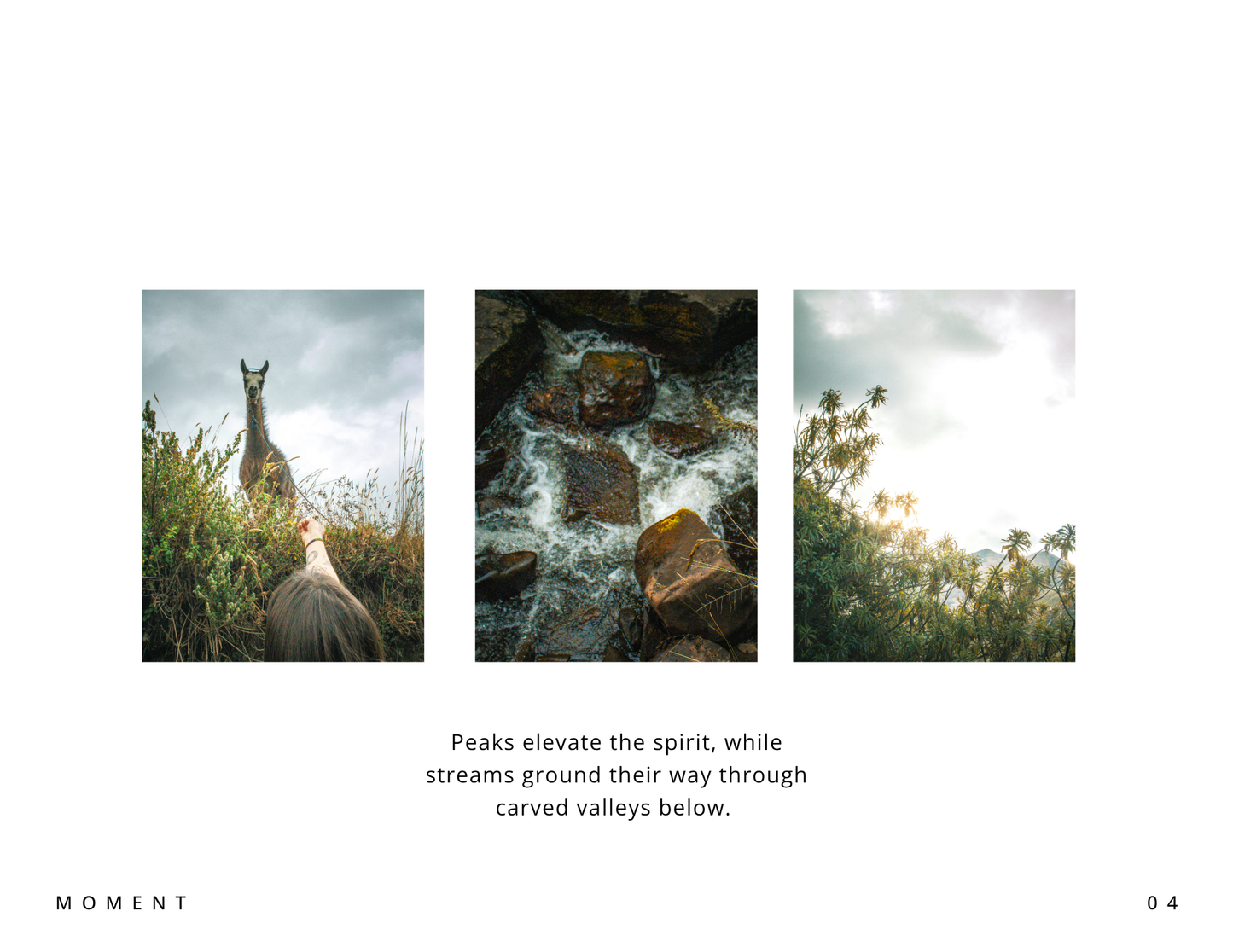 Moments of Ecuador - Digital Download
