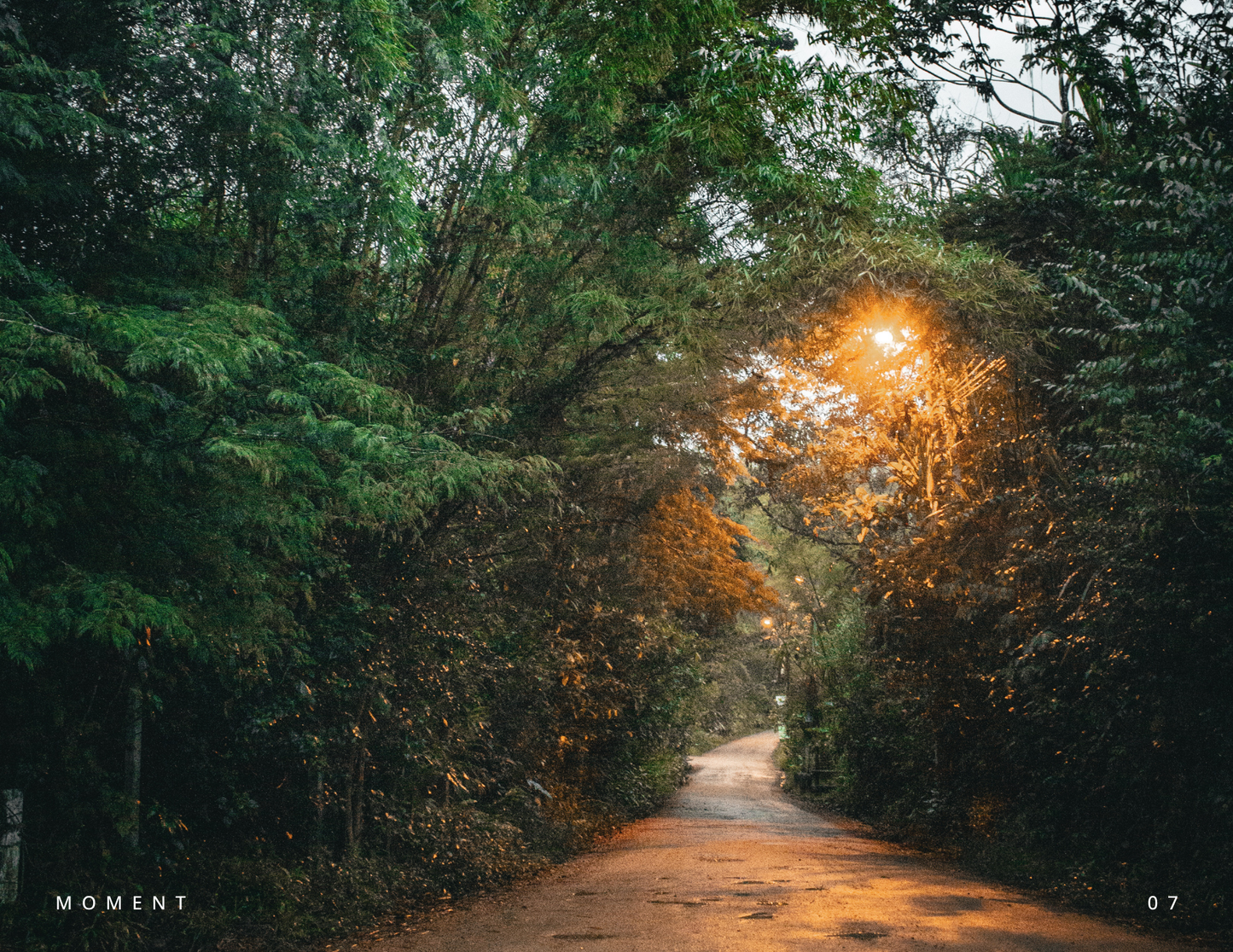 Moments of Ecuador - Digital Download